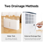 NWT 20L Dehumidifier (WDH-20AAUW)