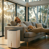 NWT 30L Smart Dehumidifier - NWT Australia