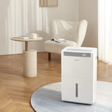 NWT 50L Dehumidifier (WDH-50AAUW)